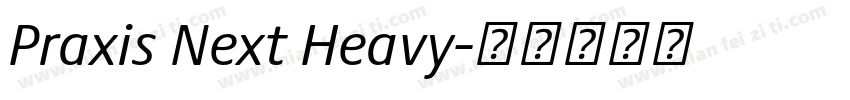 Praxis Next Heavy字体转换